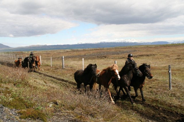 Sumarferð Sleipnis 2015