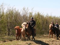 Sumarferð Sleipnis 2015