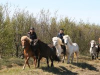 Sumarferð Sleipnis 2015