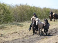 Sumarferð Sleipnis 2015