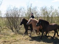 Sumarferð Sleipnis 2015