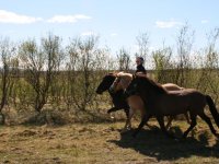 Sumarferð Sleipnis 2015