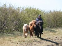 Sumarferð Sleipnis 2015