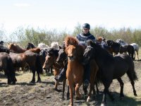 Sumarferð Sleipnis 2015