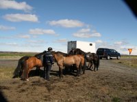 Sumarferð Sleipnis 2015