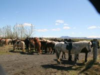 Sumarferð Sleipnis 2015