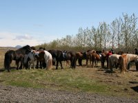 Sumarferð Sleipnis 2015