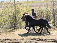Sumarferð Sleipnis 2015