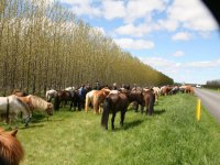 Sumarferð Sleipnis 2015