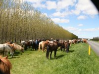 Sumarferð Sleipnis 2015