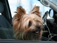 Sumarferð Sleipnis 2015