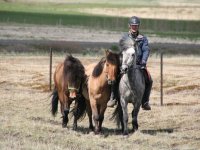 Sumarferð Sleipnis 2015