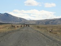 Sumarferð Sleipnis 2015