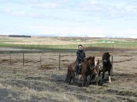 Sumarferð Sleipnis 2015