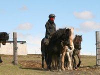 Sumarferð Sleipnis 2015