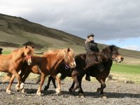 Sumarferð Sleipnis 2015