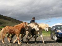Sumarferð Sleipnis 2015