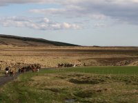 Sumarferð Sleipnis 2015