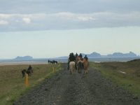 Sumarferð Sleipnis 2015