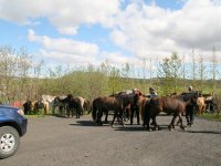 Sumarferð Sleipnis 2015