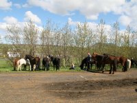 Sumarferð Sleipnis 2015