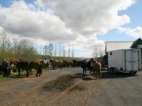 Sumarferð Sleipnis 2015