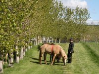 Sumarferð Sleipnis 2015