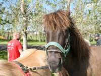 Sumarferð Sleipnis 2015