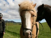 Sumarferð Sleipnis 2015