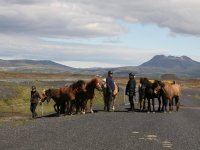 Sumarferð Sleipnis 2015