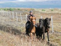 Sumarferð Sleipnis 2015