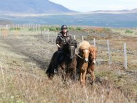 Sumarferð Sleipnis 2015