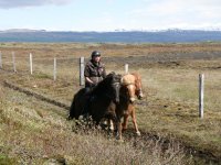 Sumarferð Sleipnis 2015