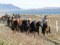 Sumarferð Sleipnis 2015