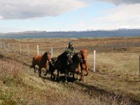 Sumarferð Sleipnis 2015