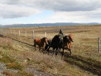 Sumarferð Sleipnis 2015