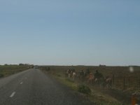 Sumarferð Sleipnis 2015