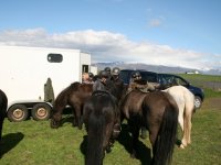 Sumarferð Sleipnis 2015