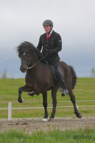 Gæðingamótið 8.júní 2013