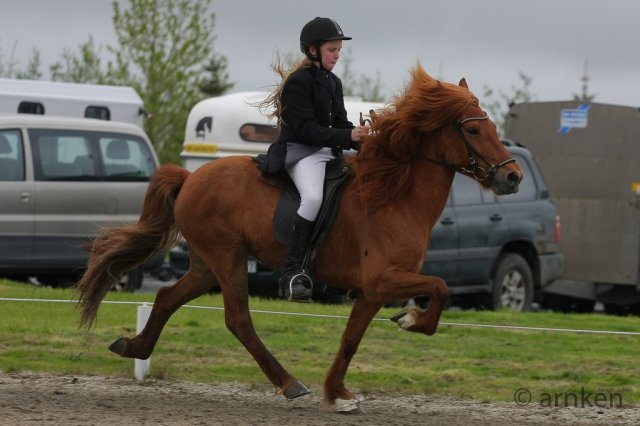 Gæðingamótið 8.júní 2013