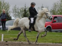 Gæðingamótið 8.júní 2013