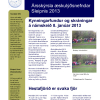 Ársskýrsla Æskulýsnefndar_2013